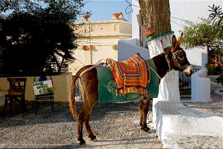 Visit of Pygros Santorini Greece