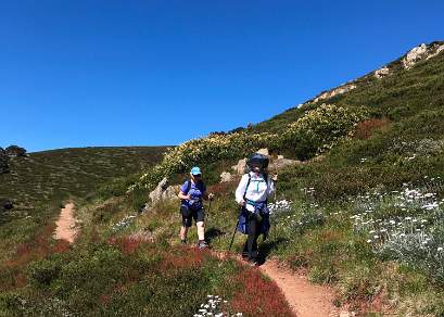 On the trail to Mt Feathertop