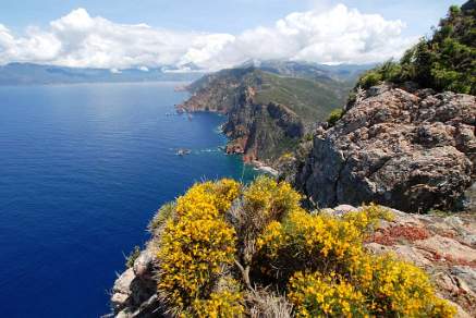 Gulf of porto Corsica